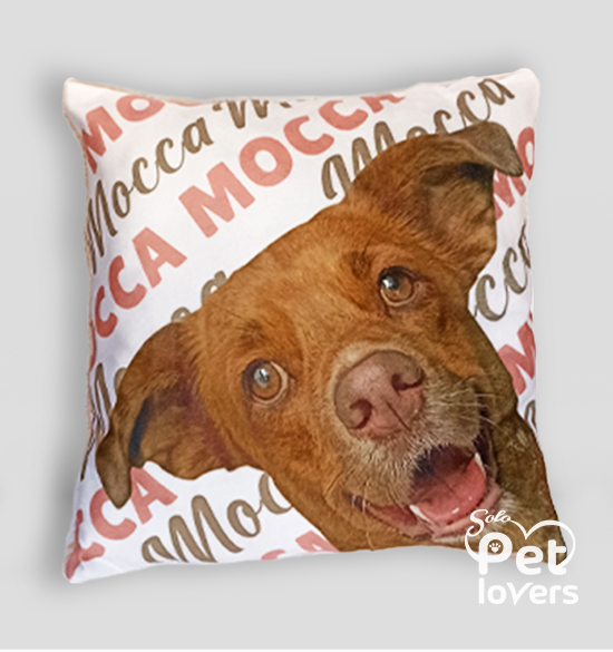 Cojín petlover con la foto de tu perro, gato o la mascota de tu preferencia. regalos y recuerdos peru